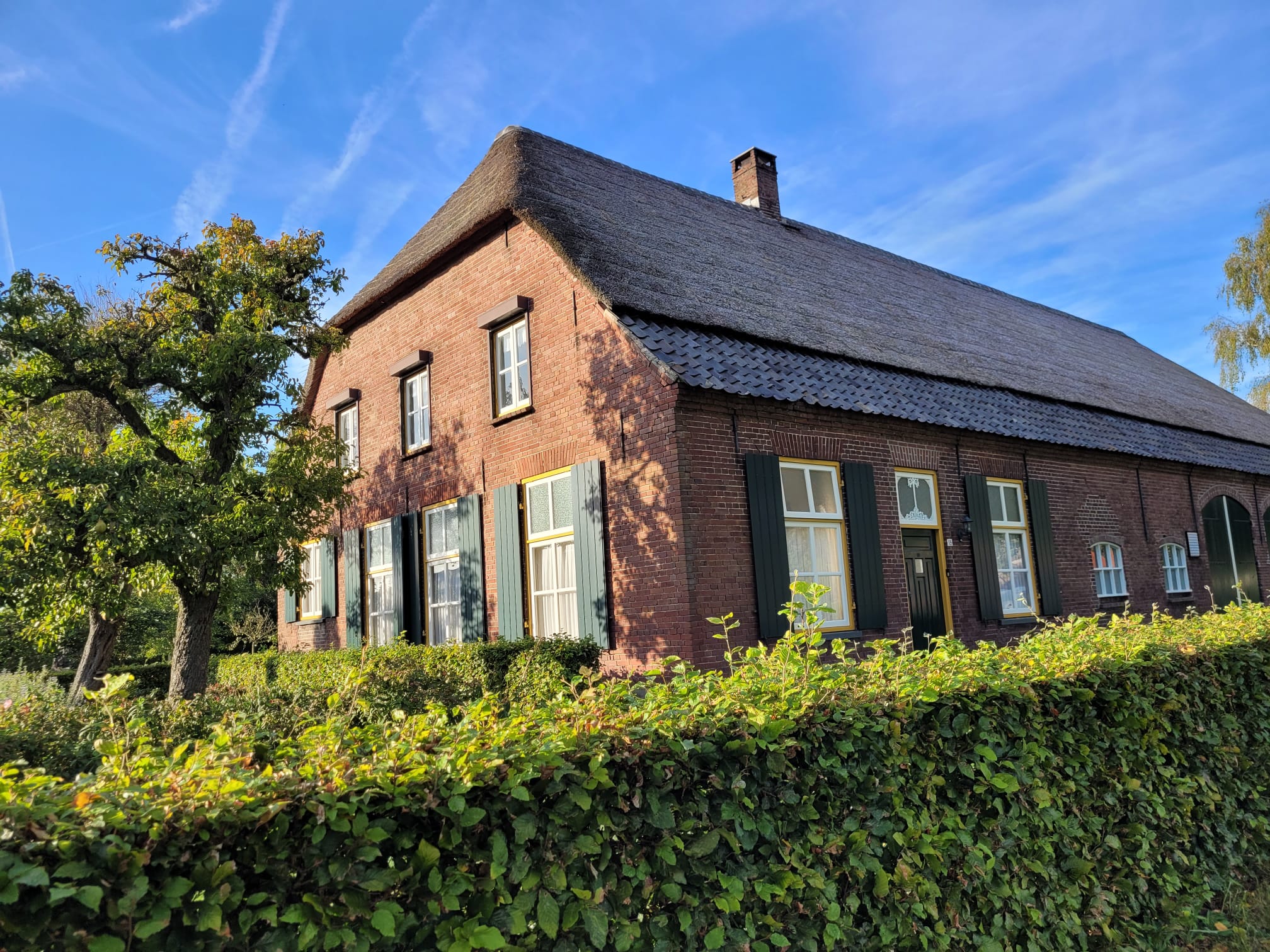 lauraschans-nl.preview-domain.com